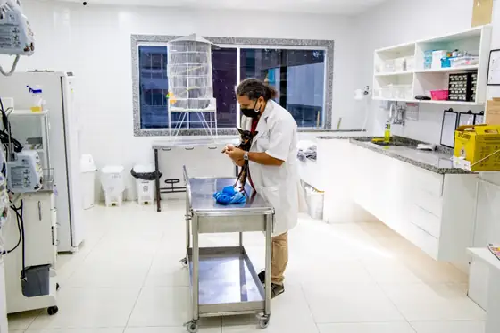 Instalações do hospital veterinário