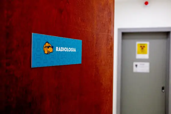 Sala do hospital