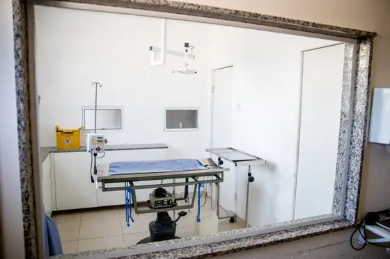 Estrutura do hospital veterinário